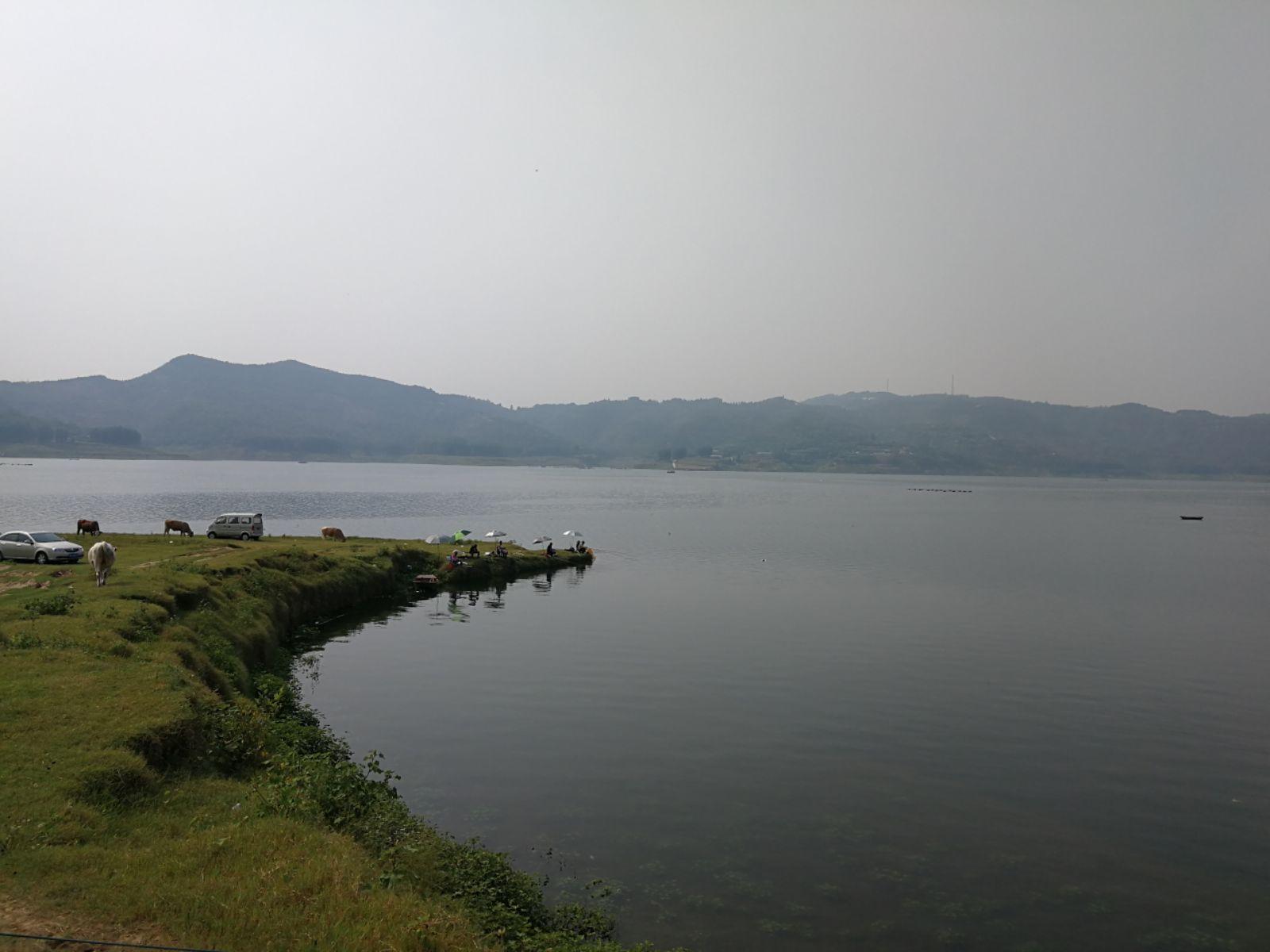 天天做日日做天天添天天欢公交车:黄花风铃木最新报价,天天做日日做，公交车的变迁与黄花风铃木最新报价