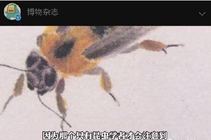 又粗又硬又黄A级毛片:最新八音图,探索最新八音图，粗硬黄A级毛片的艺术与文化