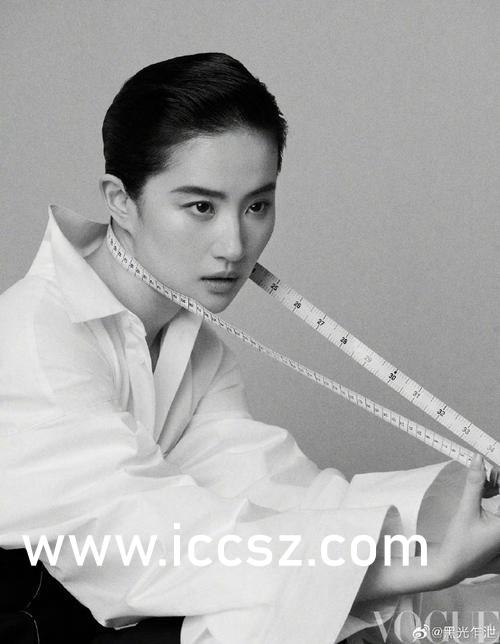 国产a级毛片:最新的范范广场舞,国产A级毛片的崭新风貌，范范广场舞的兴起与影响