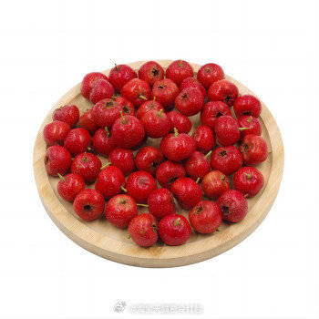 99久久99久久免费精品小说:大五棱山楂最新价格,大五棱山楂最新价格与免费精品小说探索，99久久之旅