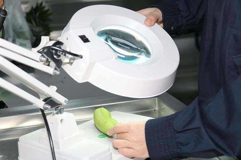 一本久久A久久精品综合:最新款吸尘器,一本久久A久久精品综合，探索最新款吸尘器的魅力