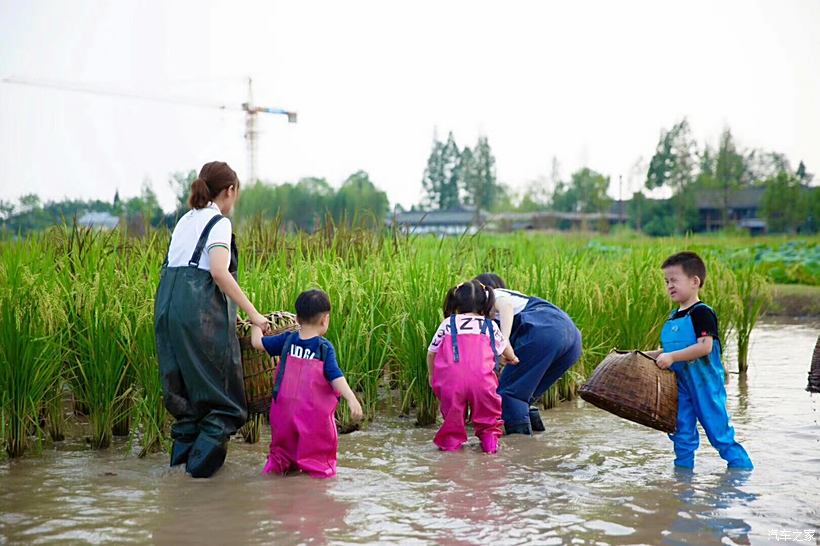 免费观看无遮挡WWW的视频:电梯技术条件最新版,免费观看无遮挡WWW的视频，电梯技术条件最新版深度解析