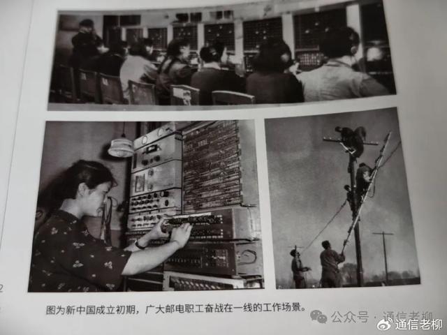 国产精品毛片在线完整版:林业退休最新政策,国产精品毛片在线完整版与林业退休最新政策探讨