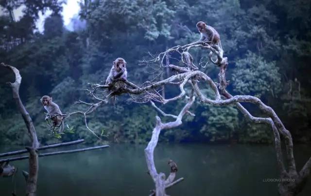 99热门精品一区二区三区无码:猴山水库最新消息,猴山水库最新动态,99热门精品一区、二区和三区的无码探索 99热门精品一区二区三区无码:猴山水库最新消息,猴山水库最新动态,99热门精品一区、二区和三区的无码探索