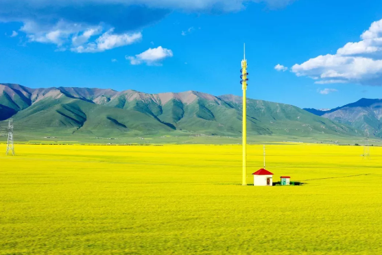 大地资源网在线观看免费国产一级a毛:克山贴吧最新消息,探索大地资源网与克山贴吧的最新动态,免费在线观看国产一级a毛与更多精彩内容 大地资源网在线观看免费国产一级a毛:克山贴吧最新消息,探索大地资源网与克山贴吧的最新动态,免费在线观看国产一级a毛与更多精彩内容