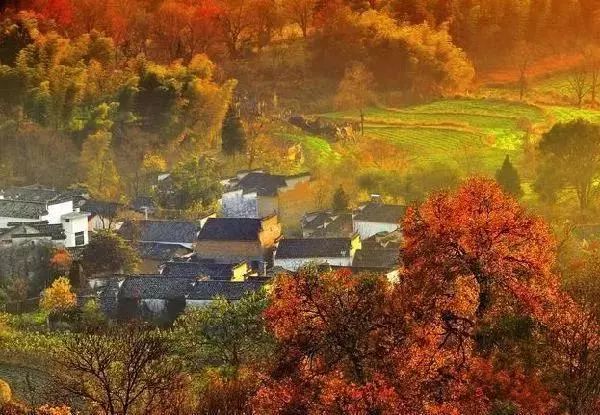 欧美精品一本久久男人的天堂:周村区北郊镇最新消息,欧美精品一本久久男人的天堂，周村区北郊镇最新消息深度解析