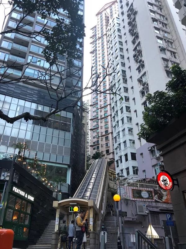 美女高潮喷水被强摸下面动态图:横山最新房屋出租信息,横山最新房屋出租信息与美女高潮喷水被强摸下面动态图，理性看待网络内容与现实生活