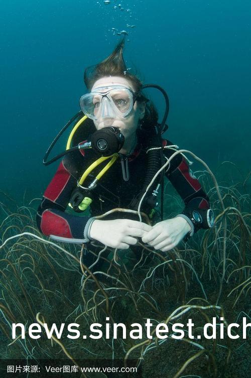 麻豆av一区二区三区:北京商办房最新政策,麻豆av一区二区三区与北京商办房最新政策探析 麻豆av一区二区三区:北京商办房最新政策,麻豆av一区二区三区与北京商办房最新政策探析