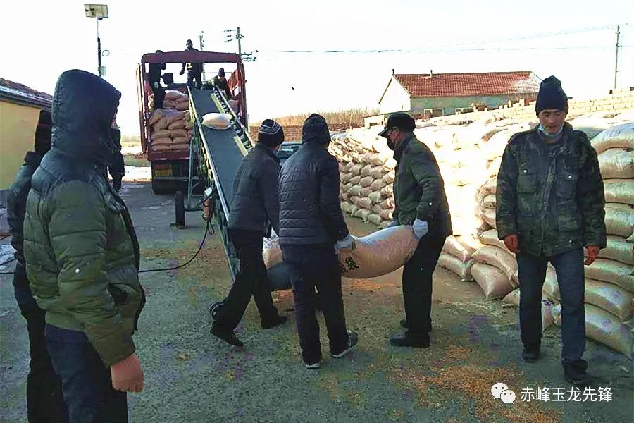 日日拍夜夜嗷嗷叫|日日摸:赤峰玉米价格最新行情,关于赤峰玉米价格最新行情的研究报告