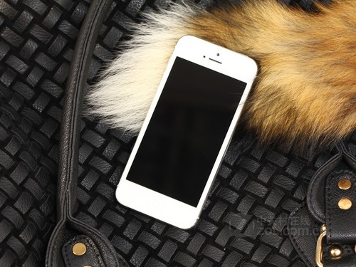 性大毛片视频:苹果5c报价最新报价,性大毛片视频与苹果iPhone 5c最新报价的综合探讨