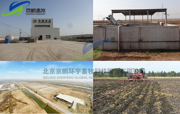 50岁熟妇大白屁股真爽:山西煤炭价格最新消息,山西煤炭市场新动态，价格走势与影响因素分析