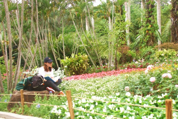 国产美女高嘲喷水流白浆视频:佛山植物园最新消息,佛山植物园最新消息，国产美女与自然美景的完美结合，高嘲喷水流白浆视频展现自然魅力