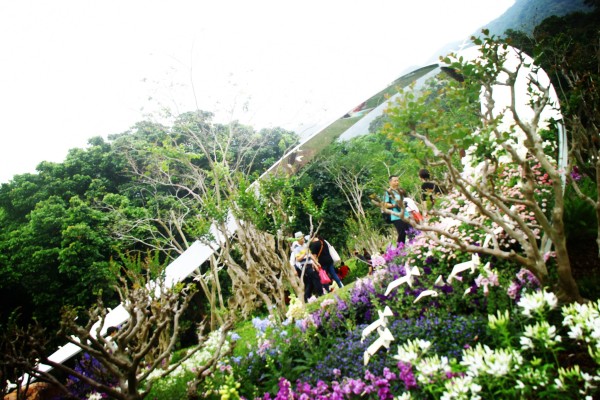 国产美女高嘲喷水流白浆视频:佛山植物园最新消息,佛山植物园最新消息，国产美女与自然美景的完美结合，高嘲喷水流白浆视频展现自然魅力