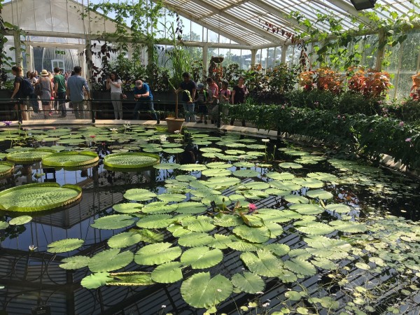 国产美女高嘲喷水流白浆视频:佛山植物园最新消息,佛山植物园最新消息，国产美女与自然美景的完美结合，高嘲喷水流白浆视频展现自然魅力