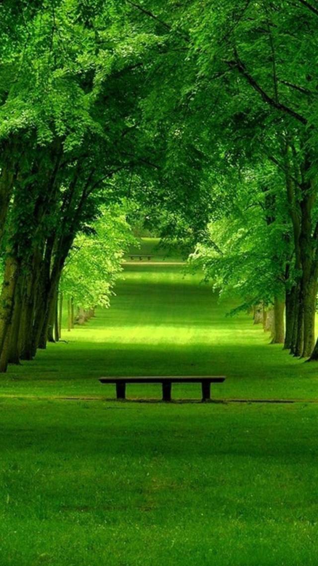 亚洲综合色丁香婷婷六月图片:张家界门面出租最新消息,亚洲综合色丁香婷婷六月图片与张家界门面出租最新消息