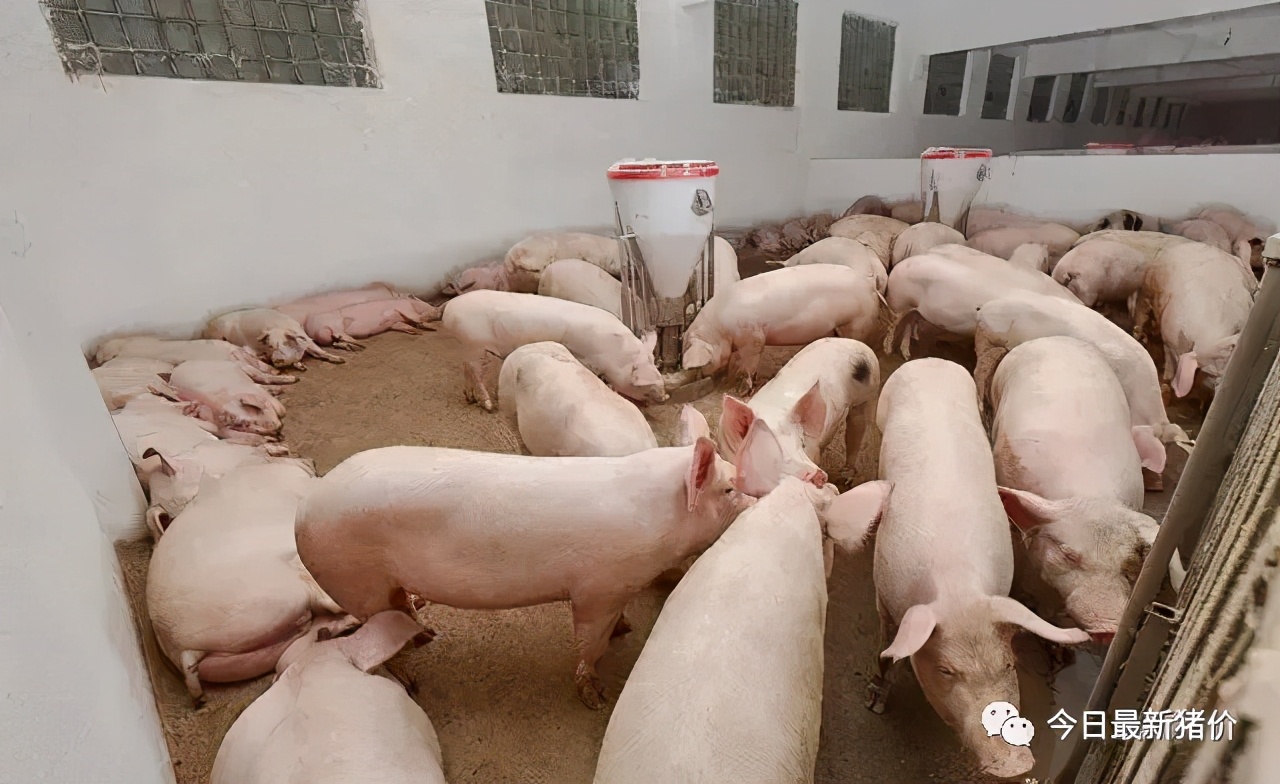 国产乱视频在线观看:安装两个微信最新方法,国产乱视频在线观看，如何轻松安装两个微信最新方法