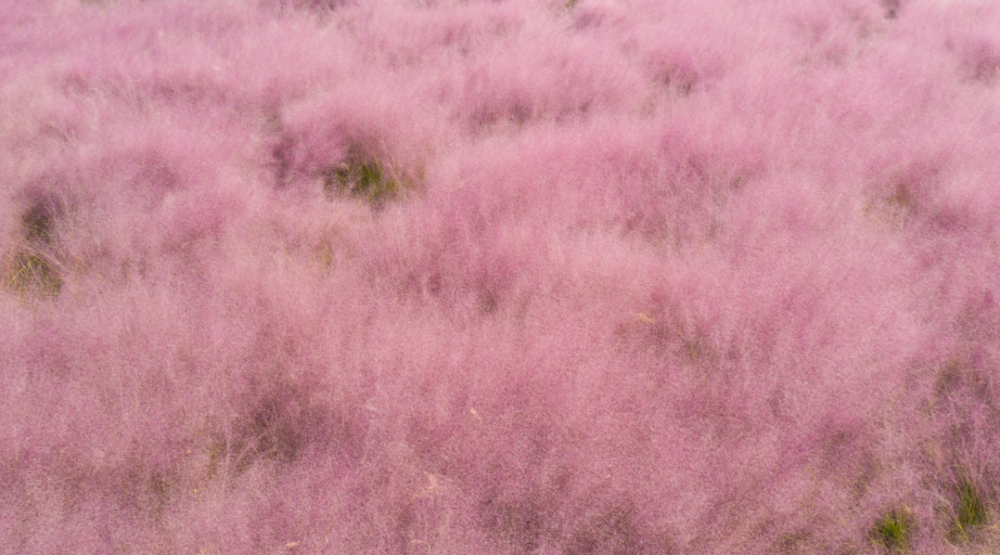 国产乱子伦无码精品小说:最新女生服装,国产乱子伦无码精品小说与最新女生服装，时尚与文学的交融