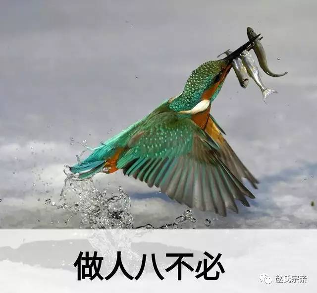 女人与禽牲交少妇:黄鹂直播最新,女人与禽牲交少妇，黄鹂直播现象的深度探讨