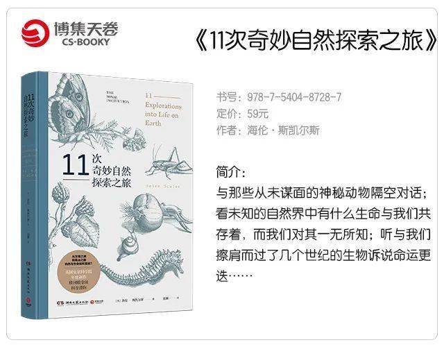 人妻AV一区二区三区精品:最新草莓品种,探索成人世界与品味最新草莓品种的奇妙之旅