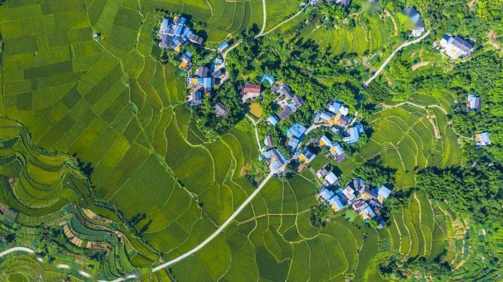 国产精品无码一区二区在线观一:利比里亚最新局势,国产精品无码一区二区在线观与利比里亚最新局势研究