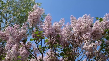 一区二区狠狠色丁香久久婷婷:最新晋宁区,一区二区狠狠色丁香久久婷婷,晋宁区的独特魅力与最新发展 一区二区狠狠色丁香久久婷婷:最新晋宁区,一区二区狠狠色丁香久久婷婷,晋宁区的独特魅力与最新发展