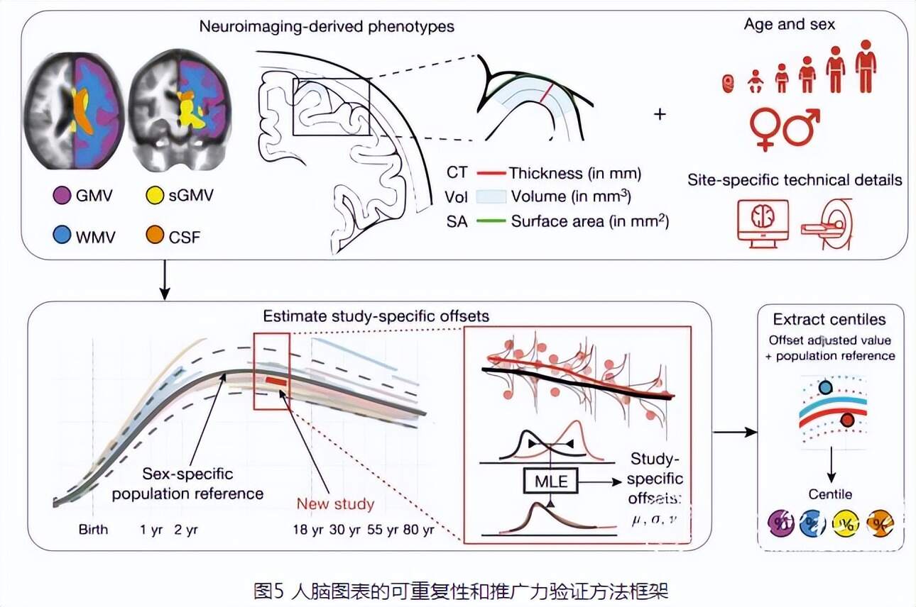 国内九一激情白浆发布:最新脑科学,国内九一激情白浆发布，最新脑科学研究进展与突破