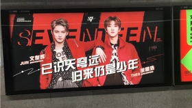 国产亚洲视频免费播放:猪儿跑最新,探索国产亚洲视频的新纪元，免费播放与猪儿跑的最新趋势