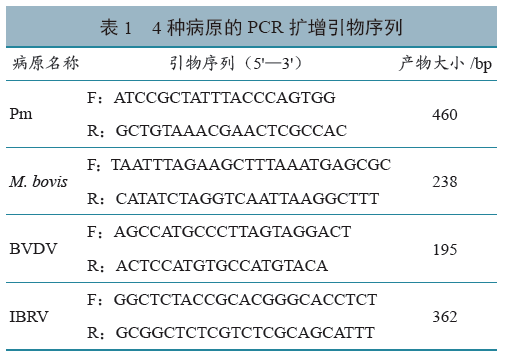 狠狠色丁香婷婷综合:最新信用证,狠狠色丁香婷婷综合，最新信用证的应用与影响