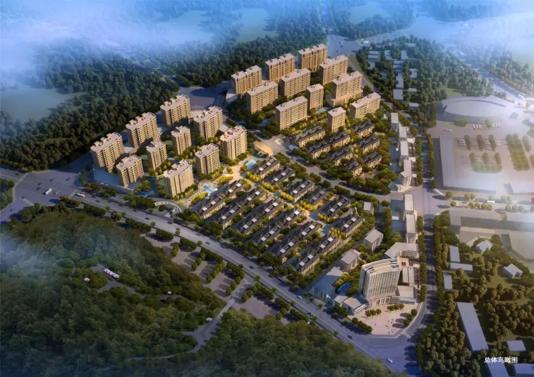 国产精品va无码免费:龙游最新房价,国产精品与龙游最新房价，探索真实的市场动态