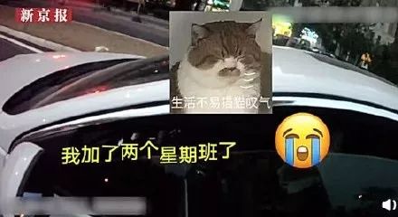 成年女性特黄午夜视频免费看:最新途锐图片,关于成年女性特黄午夜视频与最新途锐图片的探索与讨论 成年女性特黄午夜视频免费看:最新途锐图片,关于成年女性特黄午夜视频与最新途锐图片的探索与讨论