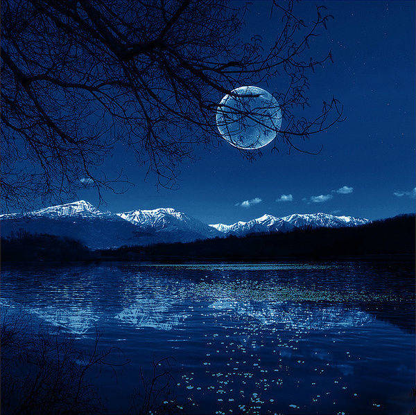 精品伊人久久久大香线蕉天堂:任君所求最新,精品伊人，久久久追寻大香线蕉的天堂，任君所求的最新魅力