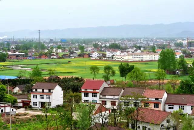 国产在线精品一区二区高清不卡:勉县最新消息,国产在线精品一区二区高清不卡，勉县最新消息探索与赏析