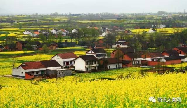 国产在线精品一区二区高清不卡:勉县最新消息,国产在线精品一区二区高清不卡，勉县最新消息探索与赏析