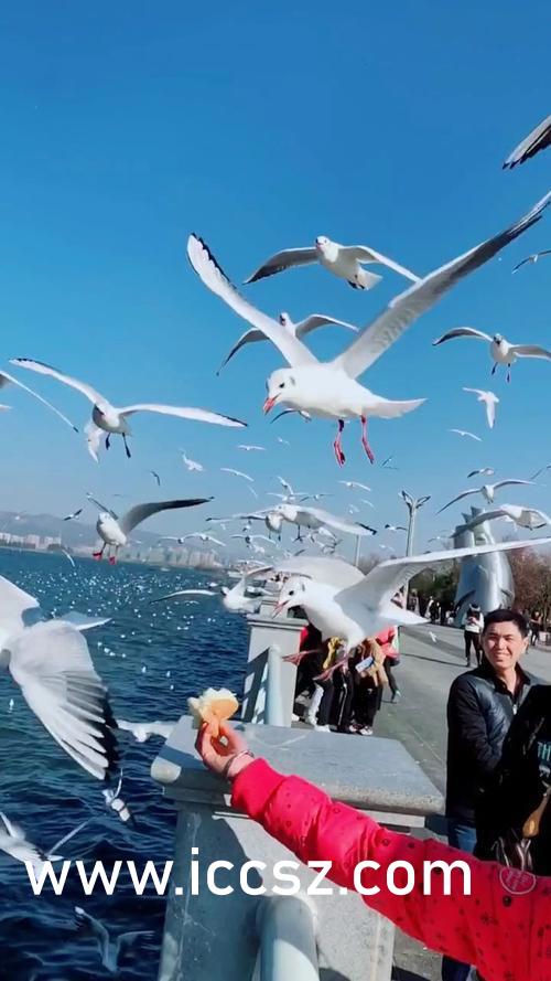 开心久久婷婷综合中文字幕:10-23-26-43-45-48F:19,开心久久婷婷综合中文字幕的魅力,探索数字背后的故事 开心久久婷婷综合中文字幕:10-23-26-43-45-48F:19,开心久久婷婷综合中文字幕的魅力,探索数字背后的故事