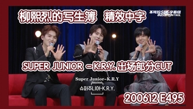 亚洲中文字幕久在线:08-14-18-29-45-48Q：36,亚洲中文字幕久在线，探索字幕的魅力与影响