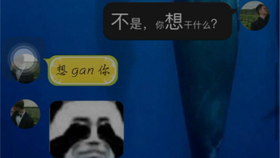 人人天干天干啦夜天干天天爽:19-22-29-39-40-42Y：02,人人天干天干啦夜天干天天爽，探索新时代的激情与活力