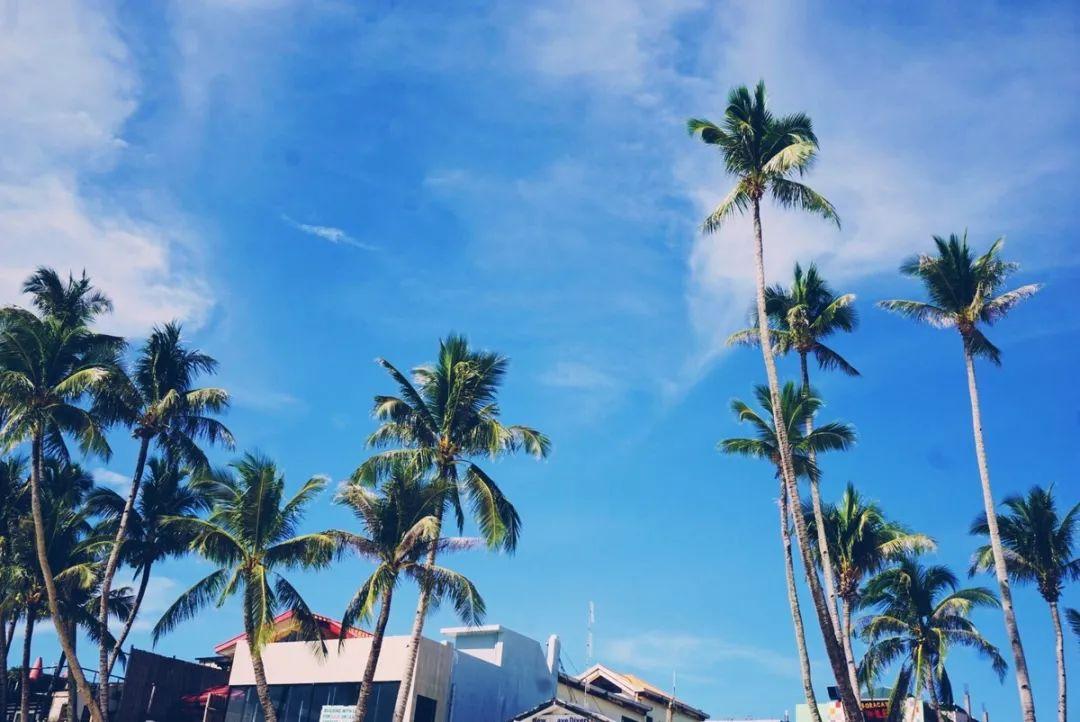 亚洲VA久久久噜噜噜久久:01-12-23-32-40-41S：04,亚洲VA文化，探索与赏析（11月23日至次年4月期间）