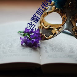 国产精品嫩草影院永久:08-30-35-38-39-41M：40,国产精品嫩草影院，永恒的魅力与多彩内容