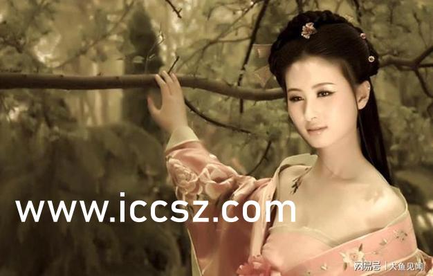 少妇厨房愉情理伦片视频下载:07-21-23-27-30-48V：17,探索家庭和谐之美，少妇厨房的愉悦与情感伦理