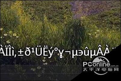 中文字幕乱码人在线视频1区:05-18-21-24-25-45W：31,关于中文字幕乱码人在在线视频区域的现象研究，05-18-21-24-25-45W与31的探讨