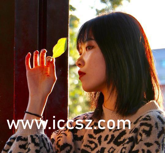 再深点灬舒服灬太大了网站:06-08-15-29-44-49A：33,探索未知领域，深度体验与舒适感受的交融