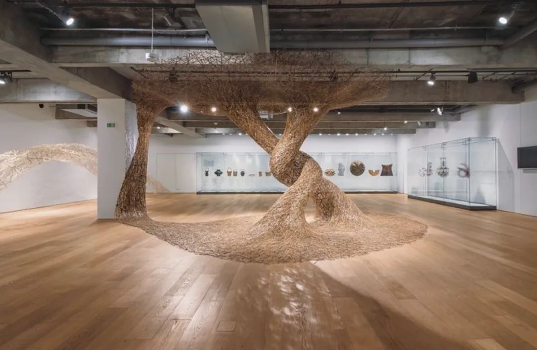 天无日天天射天天视:07-26-28-31-47-49Y：12,天无日天天射天天视，探索数字背后的神秘世界