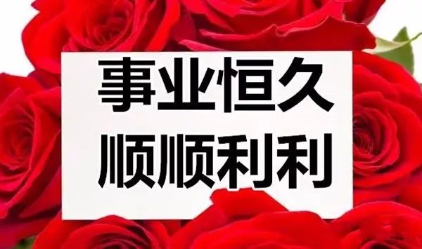 精品久久久久久久久久中文字幕:07-33-34-36-43-46P：33,精品久久久久久久久久中文字幕的魅力与探索，一段深入人心的故事