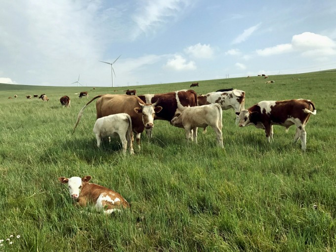 亚洲高清国产AV拍精品青青草原:19-22-29-39-40-42Y：02,青青草原上的视听盛宴，亚洲高清国产AV精品的崛起与魅力