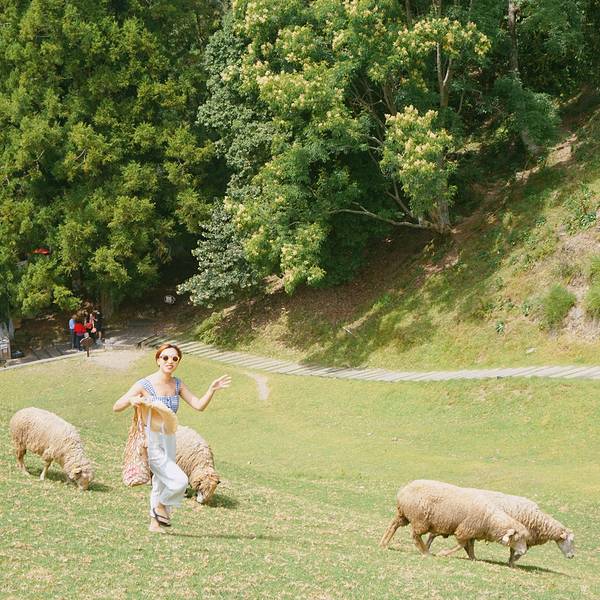 亚洲高清国产AV拍精品青青草原:19-22-29-39-40-42Y：02,青青草原上的视听盛宴，亚洲高清国产AV精品的崛起与魅力