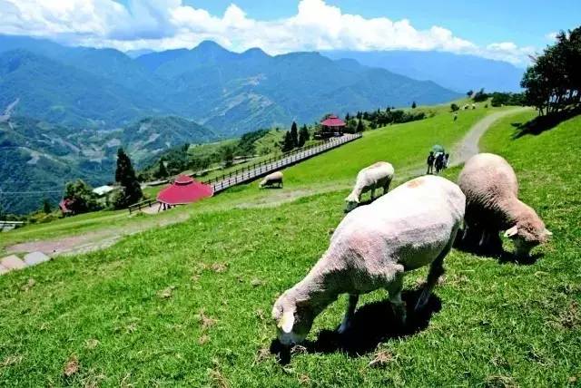 亚洲高清国产AV拍精品青青草原:19-22-29-39-40-42Y：02,青青草原上的视听盛宴，亚洲高清国产AV精品的崛起与魅力