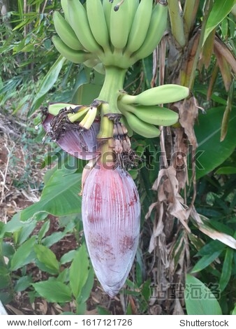 伊人久久大香线蕉亚洲五月天:21-31-34-38-41-43U:27,伊人久久,大香线蕉与亚洲五月天的奇妙缘分 伊人久久大香线蕉亚洲五月天:21-31-34-38-41-43U:27,伊人久久,大香线蕉与亚洲五月天的奇妙缘分