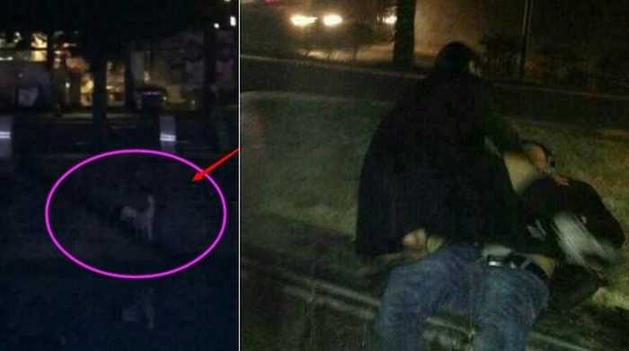 国产乱人伦偷精品视频免下载:08-13-19-27-35-37T：09,国产乱人伦视频现象，深度探讨与警示