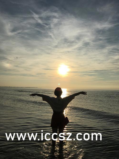 特级无码毛片免费视频播放▽:02-06-23-32-36-37D：20,特级无码毛片免费视频播放，探索与警示