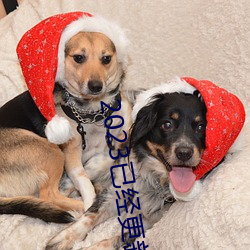 特级无码毛片免费视频播放▽:02-06-23-32-36-37D：20,特级无码毛片免费视频播放，探索与警示